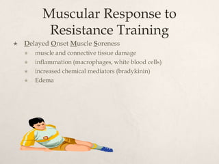 Muscular Response to
Resistance Training
 Delayed Onset Muscle Soreness
 muscle and connective tissue damage
 inflammation (macrophages, white blood cells)
 increased chemical mediators (bradykinin)
 Edema
 