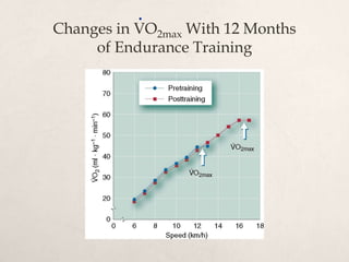 Changes in VO2max With 12 Months
of Endurance Training
.
 