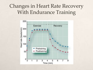 Changes in Heart Rate Recovery
With Endurance Training
 