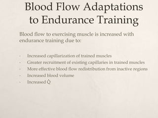 Blood Flow Adaptations
to Endurance Training
Blood flow to exercising muscle is increased with
endurance training due to:
• Increased capillarization of trained muscles
• Greater recruitment of existing capillaries in trained muscles
• More effective blood flow redistribution from inactive regions
• Increased blood volume
• Increased Q
.
 