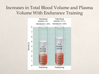 Increases in Total Blood Volume and Plasma
Volume With Endurance Training
 