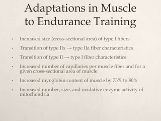 Adaptations in Muscle
to Endurance Training
• Increased size (cross-sectional area) of type I fibers
• Transition of type IIx → type IIa fiber characteristics
• Transition of type II → type I fiber characteristics
• Increased number of capillaries per muscle fiber and for a
given cross-sectional area of muscle
• Increased myoglobin content of muscle by 75% to 80%
• Increased number, size, and oxidative enzyme activity of
mitochondria
 
