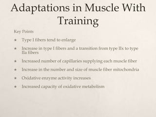 Adaptations in Muscle With
Training
Key Points
 Type I fibers tend to enlarge
 Increase in type I fibers and a transition from type IIx to type
IIa fibers
 Increased number of capillaries supplying each muscle fiber
 Increase in the number and size of muscle fiber mitochondria
 Oxidative enzyme activity increases
 Increased capacity of oxidative metabolism
 