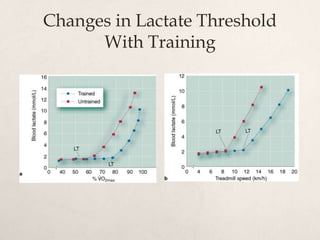 Changes in Lactate Threshold
With Training
 