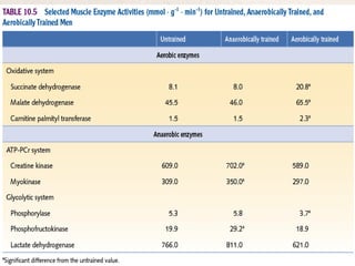 Exercise physiology 8 
