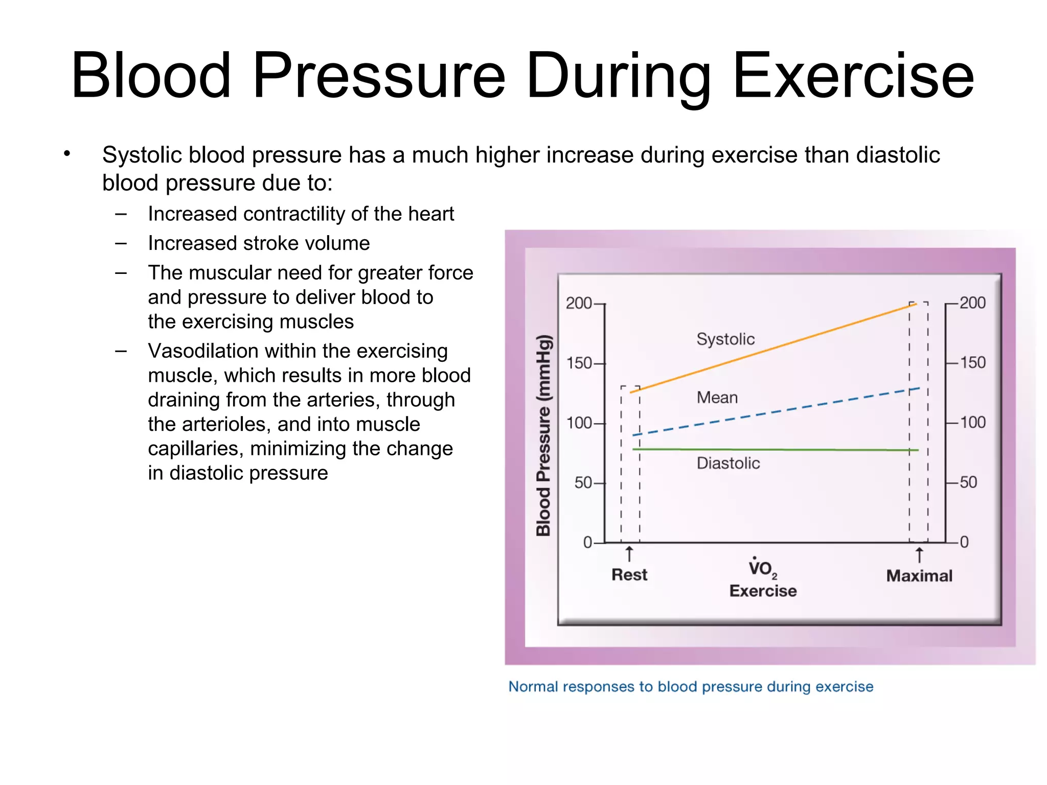 Blood Pressure During Exercise
•   Systolic blood pressure has a much higher increase during exercise than diastolic
    blood pressure due to:
     –   Increased contractility of the heart
     –   Increased stroke volume
     –   The muscular need for greater force
         and pressure to deliver blood to
         the exercising muscles
     –   Vasodilation within the exercising
         muscle, which results in more blood
         draining from the arteries, through
         the arterioles, and into muscle
         capillaries, minimizing the change
         in diastolic pressure
 