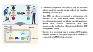  Endothelial progenitor cells (EPCs) play an important
role in repairing vascular injury and can be classified
into early and late EPCs.
 Late EPCs have been recognized as endogenous cells
involved in de novo blood vessel formation. In
hypertension, increased peripheral vascular resistance
results from vascular dysfunction with MVR
(microvascular rarefaction) which is related to late EPC
angiogenesis ability.
 Exercise is a promising way to increase EPC function,
however, the fall in angiogenic capacity of late EPCs is
correlated with MVR in hypertension.
 