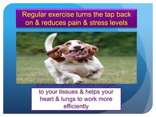 Exercise also delivers oxygen
to your tissues & helps your
heart & lungs to work more
efficiently
Regular exercise turns the tap back
on & reduces pain & stress levels
 