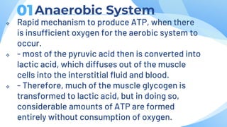 Anaerobic System
01
 Rapid mechanism to produce ATP, when there
is insufficient oxygen for the aerobic system to
occur.
 - most of the pyruvic acid then is converted into
lactic acid, which diffuses out of the muscle
cells into the interstitial fluid and blood.
 - Therefore, much of the muscle glycogen is
transformed to lactic acid, but in doing so,
considerable amounts of ATP are formed
entirely without consumption of oxygen.
 