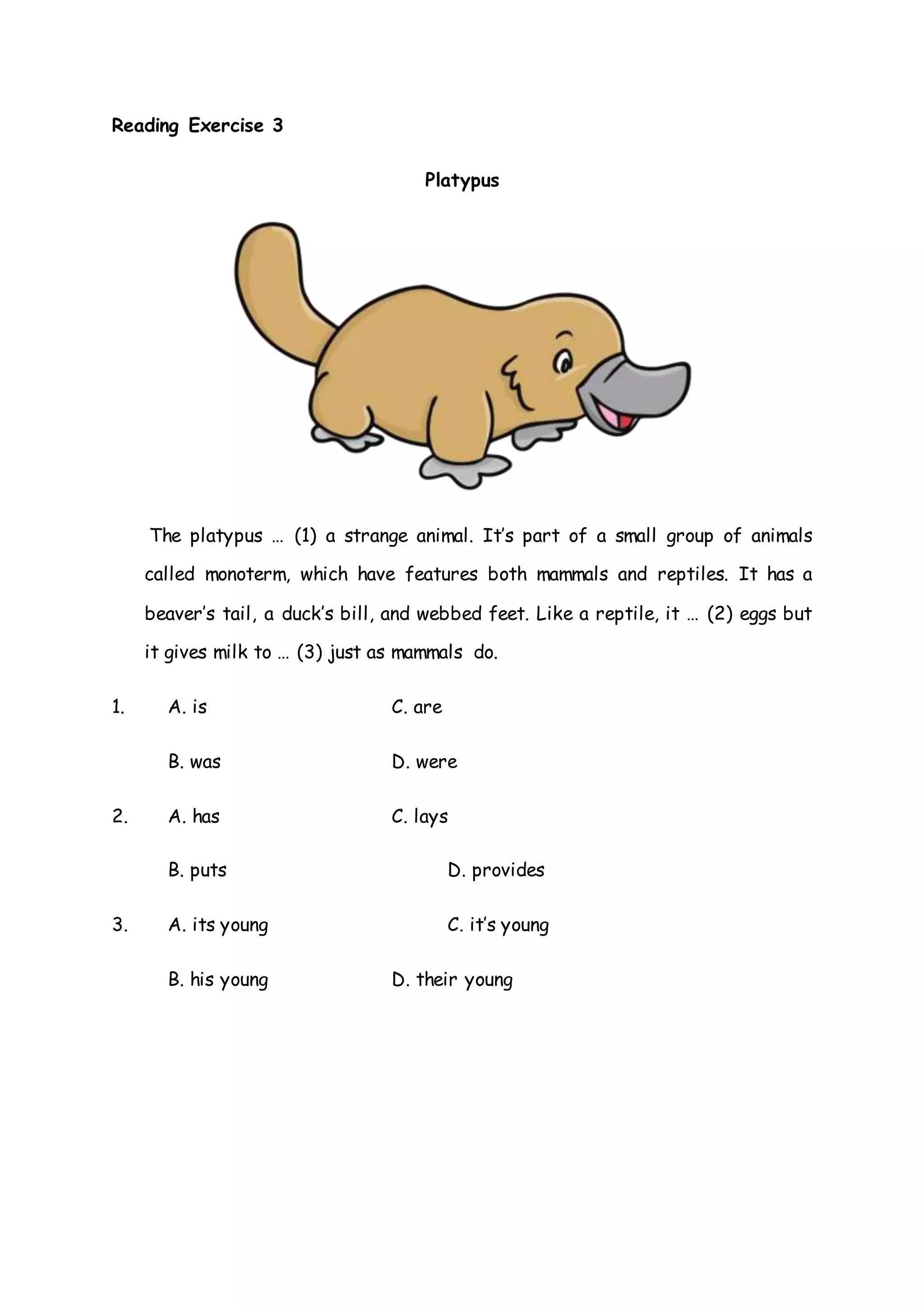 Reading Exercises | DOCX
