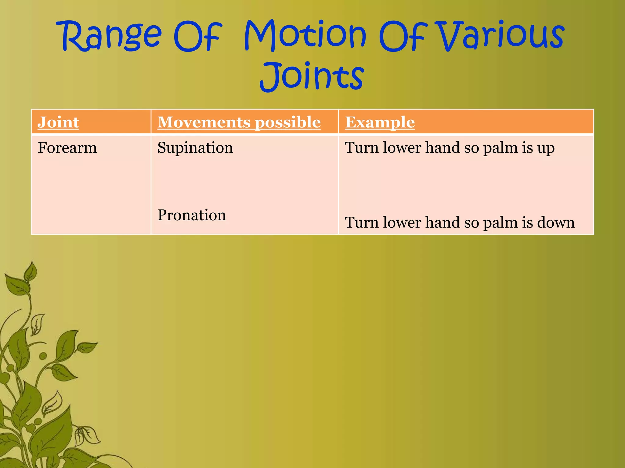 Exercise & range of motion exercise | PPTX