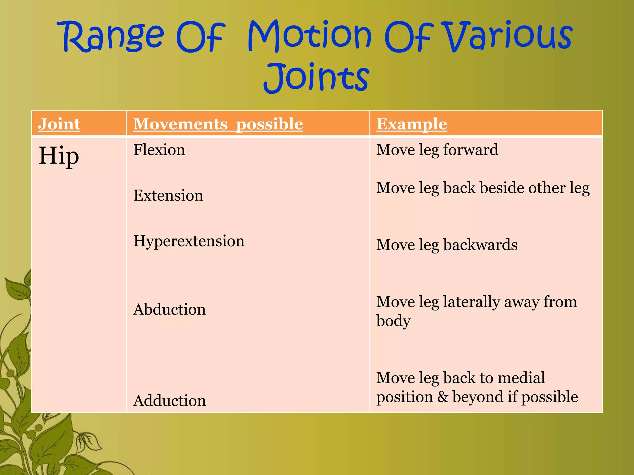 Exercise & range of motion exercise | PPTX