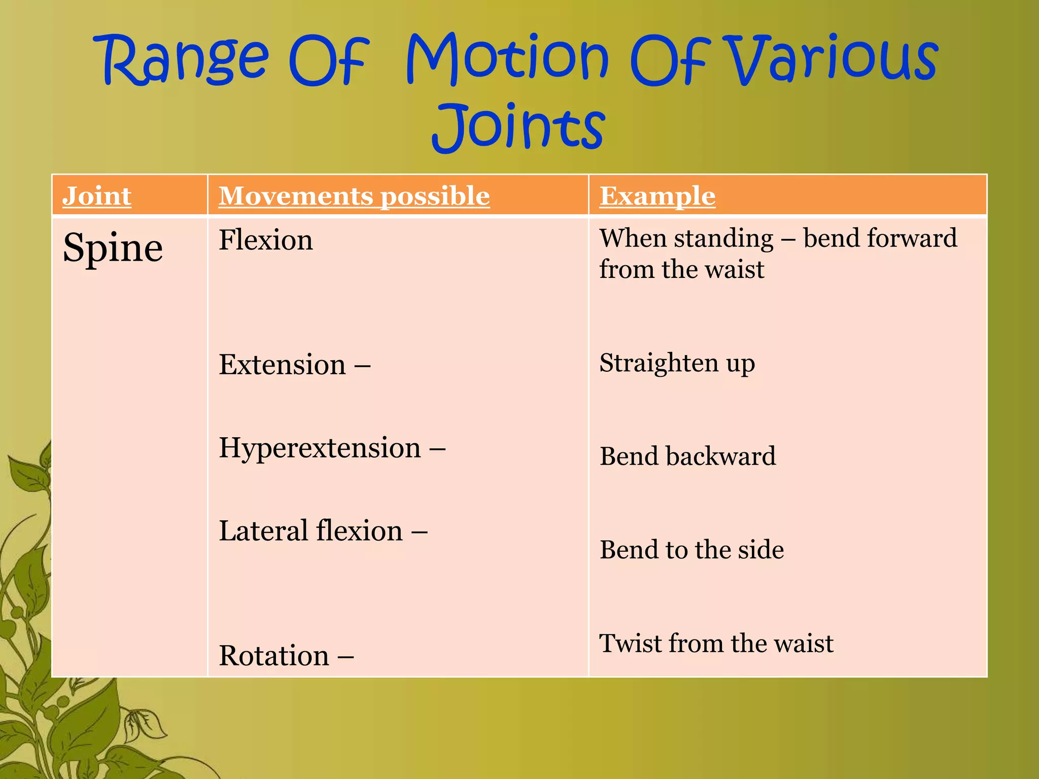 Exercise Range Of Motion Exercise Pptx Exercise Range Of Motion Exercise Pptx
