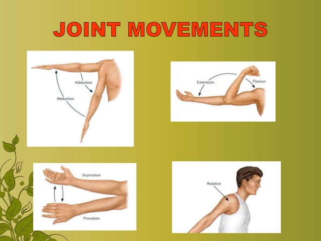 Exercise Range Of Motion Exercise Pptx Exercise Range Of Motion Exercise Pptx