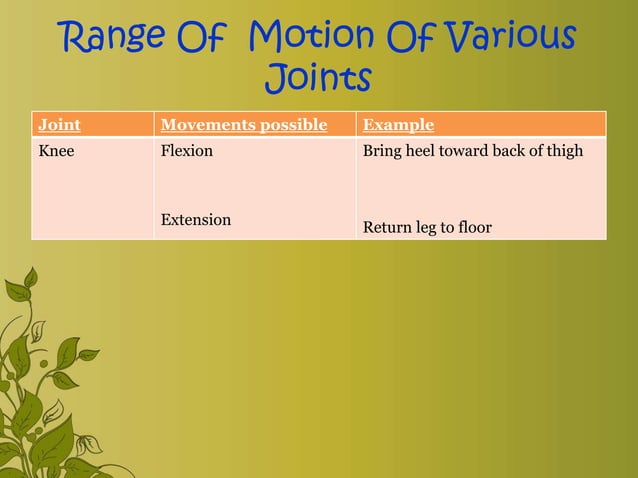 Exercise & range of motion exercise | PPTX