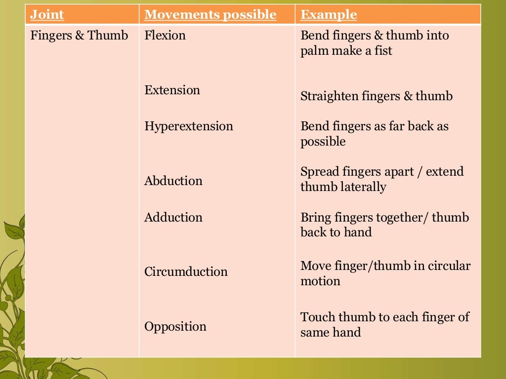 Exercise & range of motion exercise