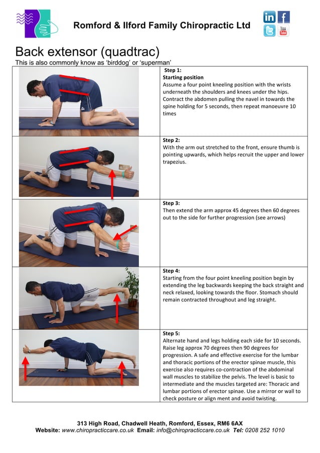 Exercises core stability quadrac birddog superman back extensor PDF