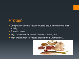 Protein
 Compounds used to rebuild muscle tissue and improve brain
activity.
 Found in meat.
 High protein/low fat meats: Turkey, chicken, fish.
 High protein/high fat meats: ground meat (hamburger).

 