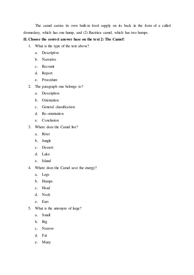 Exercises Reading Report Text