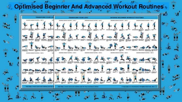 Gym Workout Plan Chart