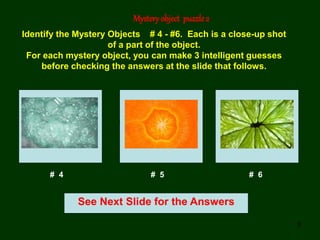 9
Mystery object puzzle2
See Next Slide for the Answers
Identify the Mystery Objects # 4 - #6. Each is a close-up shot
of a part of the object.
For each mystery object, you can make 3 intelligent guesses
before checking the answers at the slide that follows.
# 4 # 5 # 6
 