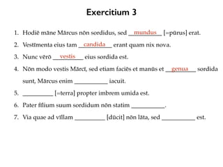 Exercitium 3
1. Hodiē māne Mārcus nōn sordidus, sed ___________ [=pūrus] erat.
2. Vestīmenta eius tam ___________ erant quam nix nova.
3. Nunc vērō __________ eius sordida est.
4. Nōn modo vestis Mārcī, sed etiam faciēs et manūs et __________ sordida
sunt, Mārcus enim ___________ iacuit.
5. __________ [=terra] propter imbrem umida est.
6. Pater fīlium suum sordidum nōn statim ___________.
7. Via quae ad vīllam __________ [dūcit] nōn lāta, sed ___________ est.
mundus
candida
vestis
genua
 