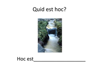 Quid est hoc?
Hoc est___________________
 