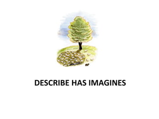 DESCRIBE HAS IMAGINES
 