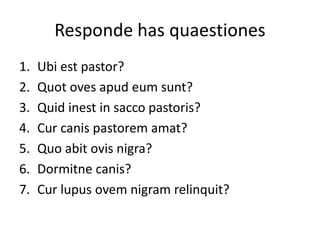 Responde has quaestiones
1. Ubi est pastor?
2. Quot oves apud eum sunt?
3. Quid inest in sacco pastoris?
4. Cur canis pastorem amat?
5. Quo abit ovis nigra?
6. Dormitne canis?
7. Cur lupus ovem nigram relinquit?
 