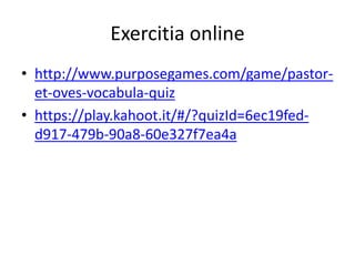Exercitia online
• http://www.purposegames.com/game/pastor-
et-oves-vocabula-quiz
• https://play.kahoot.it/#/?quizId=6ec19fed-
d917-479b-90a8-60e327f7ea4a
 