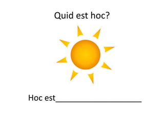 Quid est hoc?
Hoc est___________________
 