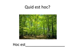 Quid est hoc?
Hoc est___________________
 