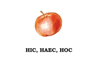 HIC, HAEC, HOC
 