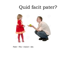 Quid facit pater?
Pater – filia – malum – dat.
 