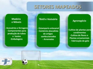 SETORES MAPEADOS
Madeira
e Móveis
- Acessórios e ferragens
- Componentes para
produção de tubos
e hastes
-Embalagens
Têxtil e Vestuário
- Estamparia artesanal
- Comércio atacadista
de artigos
confeccionados
- Arremates
Agronegócio
-Cultivo de plantas para
condimentos
-Cultivo de flores e
Plantas ornamentais
- Fabricação de gelo
 