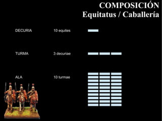 COMPOSICIÓN
                       Equitatus / Caballería
DECURIA   10 equites




TURMA     3 decuriae




ALA       10 turmae
 