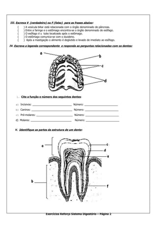 III. Escreva V (verdadeiro) ou F (falso) para as frases abaixo:
     (    )   A vesícula biliar está relacionada com o órgão denominado de pâncreas.
     (    )   Entre a faringe e o estômago encontra-se o órgão denominado de esôfago.
     (    )   O esôfago é u tubo localizado após o estômago.
     (    )   O estômago comunica-se com o duodeno.
     (    )    Após a mastigação o alimento é deglutido e levado de imediato ao esôfago.

IV. Escreva a legenda correspondente e responda as perguntas relacionadas com os dentes:




     1. Cite a função e número dos seguintes dentes:

    a) Incisivos: ___________________________ Número: _______________________
    b) Caninos: ____________________________ Número: _______________________
    c) Pré-molares: _________________________ Número: _______________________
    d) Molares: ____________________________          Número: _______________________


    V. Identifique as partes da estrutura de um dente:




                              Exercícios Reforço Sistema Digestório – Página 2
 