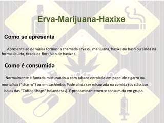 Apresenta-se de várias formas: a chamada erva ou marijuana, haxixe ou hash ou ainda na forma líquida, tirada da flor (óleo de haxixe).  Como é consumida Erva-Marijuana-Haxixe Como se apresenta Normalmente é fumada misturando-a com tabaco enrolado em papel de cigarro ou  mortalhas ("charro") ou em cachimbo. Pode ainda ser misturada na comida (os clássicos  bolos das “Coffee Shops” holandesas). É predominantemente consumida em grupo.  