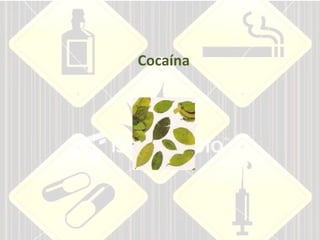 Cocaína 