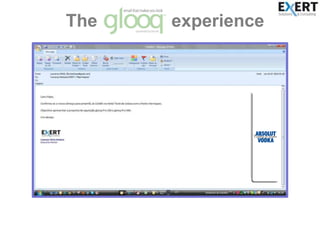 The               experience