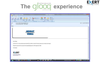 The               experience