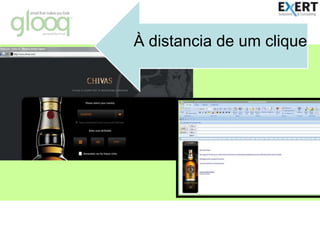 The               experience