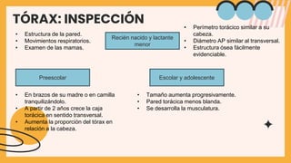 Torax Ex EX FISICO TÓRAX UNT TRUJILLO -VERDI.JUBELT.pptx