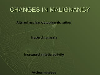Altered nuclear-cytoplasmic ratios
Hyperchromasia
Increased mitotic activity
Atyical mitoses
CHANGES IN MALIGNANCY
CHANGES IN MALIGNANCY
 