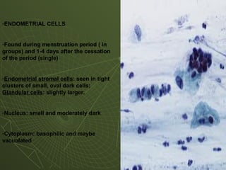 -ENDOMETRIAL CELLS
-Found during menstruation period ( in
groups) and 1-4 days after the cessation
of the period (single)
-Endometrial stromal cells: seen in tight
clusters of small, oval dark cells;
Glandular cells: slightly larger.
-Nucleus: small and moderately dark
-Cytoplasm: basophilic and maybe
vacuolated
 