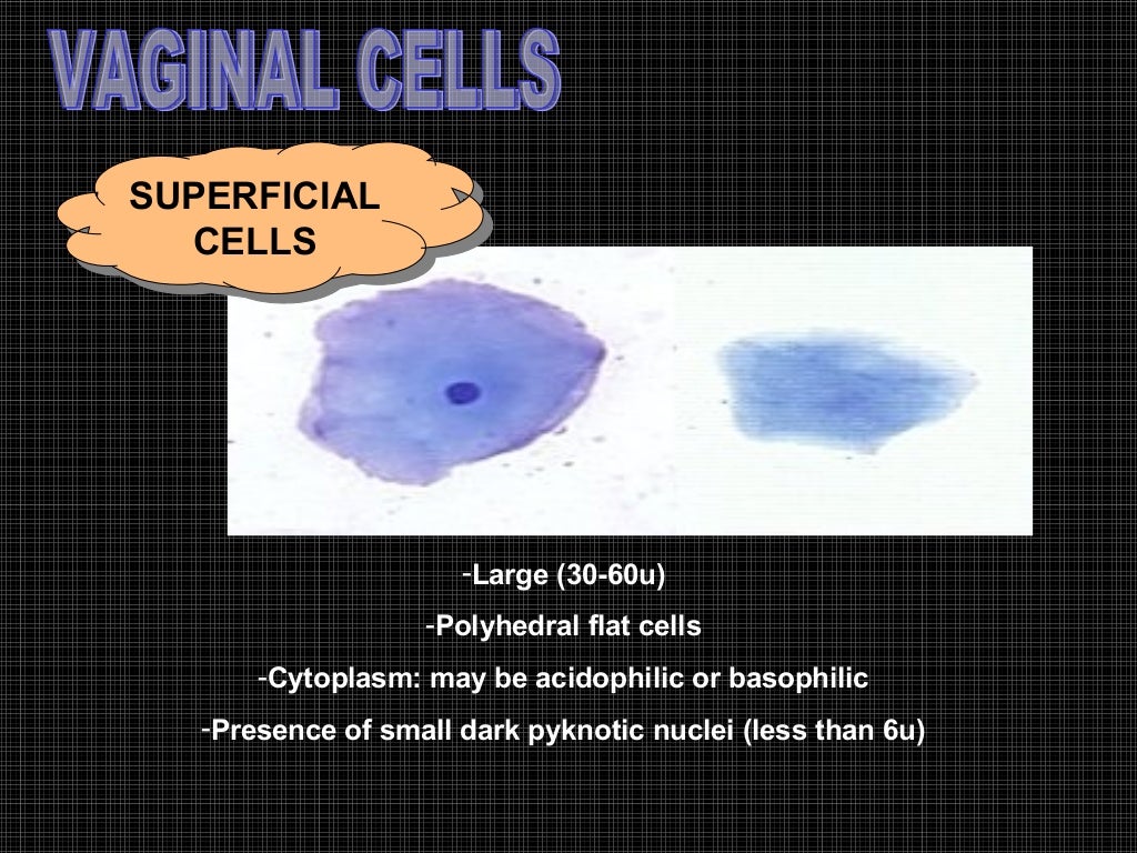 Exfoliative cytology
