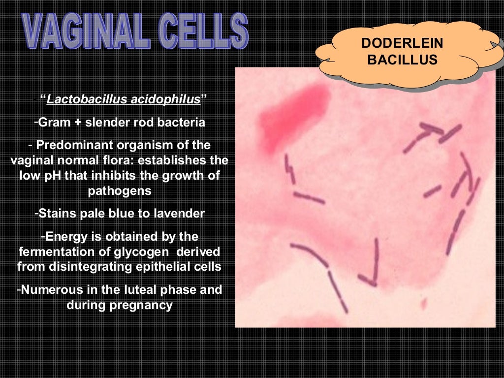 Exfoliative cytology
