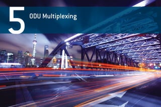 30 OTN (G.709) Reference Guide EXFO
30 OTN (G.709) Reference Guide EXFO
5ODU Multiplexing
 