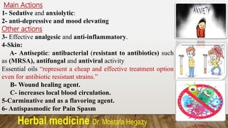 Herbal medicine Dr. Mostafa Hegazy
Main Actions
1- Sedative and anxiolytic:
2- anti-depressive and mood elevating
Other actions
3- Effective analgesic and anti-inflammatory.
4-Skin:
A- Antiseptic: antibacterial (resistant to antibiotics) such
as (MRSA), antifungal and antiviral activity
Essential oils “represent a cheap and effective treatment option
even for antibiotic resistant strains.”
B- Wound healing agent.
C- increases local blood circulation.
5-Carminative and as a flavoring agent.
6- Antispasmodic for Pain Spasm
 
