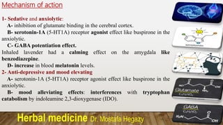Herbal medicine Dr. Mostafa Hegazy
Mechanism of action
1- Sedative and anxiolytic:
A- inhibition of glutamate binding in the cerebral cortex.
B- serotonin-1A (5-HT1A) receptor agonist effect like buspirone in the
anxiolytic.
C- GABA potentiation effect.
Inhaled lavender had a calming effect on the amygdala like
benzodiazepine.
D- increase in blood melatonin levels.
2- Anti-depressive and mood elevating
A- serotonin-1A (5-HT1A) receptor agonist effect like buspirone in the
anxiolytic.
B- mood alleviating effects: interferences with tryptophan
catabolism by indoleamine 2,3-dioxygenase (IDO).
 